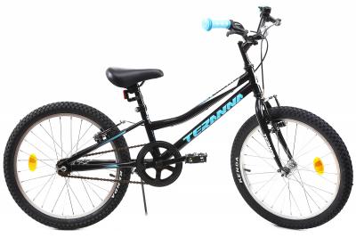 Bicicleta Copii Dhs 2003 Negru 20 Inch