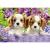 Puzzle catelusi, 2x24 piese