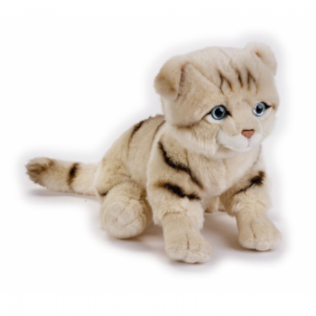 Jucarie plus Pisica Scottish Fold