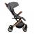 Carucior sport estelle, momi, gold grey