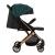 Carucior sport estelle, momi, gold green