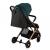 Carucior sport estelle, momi, gold green