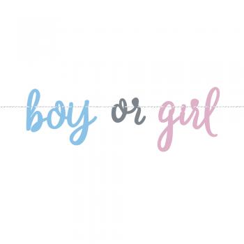 Banner gender reveal 213 cm