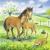 Puzzle animale si pui, 3x49 piese