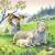 Puzzle animale si pui, 3x49 piese